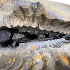 Antique Lakshmi Narsima Shaligram - 3.86 Kgs - Himalaya Rudraksha Anusandhan Kendra