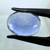 Blue Sapphire (Neelam - 8.65 cts) - Ceylonese - Himalaya Rudraksha Anusandhan Kendra