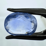 Blue Sapphire (Neelam - 8.65 cts) - Ceylonese - Himalaya Rudraksha Anusandhan Kendra