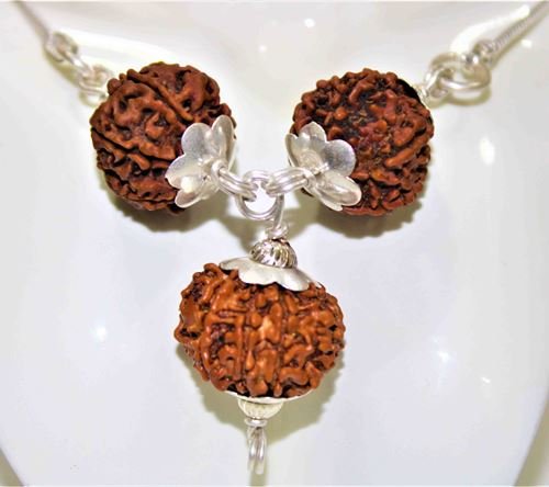 Body Pain Nivarak Kawach - Himalaya Rudraksha Anusandhan Kendra