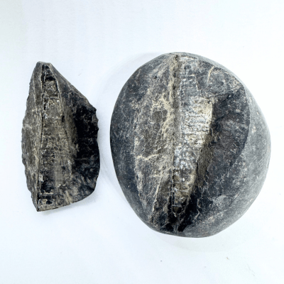 Divy Shivling Shaligram (72 gm) - Himalaya Rudraksha Anusandhan Kendra