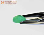Emerald (Panna) - 9.75 cts - Himalaya Rudraksha Anusandhan Kendra