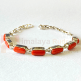 Italian Moonga (coral) Bracelet In Silver - Himalaya Rudraksha Anusandhan Kendra