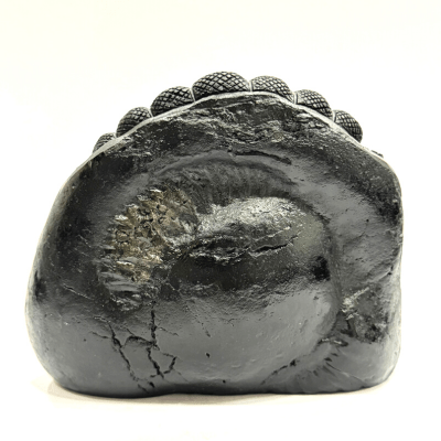 Lakshmi Narsima Carved Shaligram - 640 grams - Himalaya Rudraksha Anusandhan Kendra
