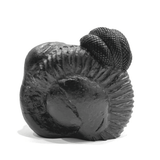 Lakshmi Vishnu Carved Shaligram - 498 Grams - Himalaya Rudraksha Anusandhan Kendra