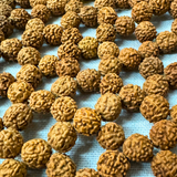 Rudraksha Mat