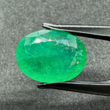 Emerald - 8.15 cts (Super Premium)