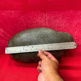 Shaligram Shila (12.173 kg)