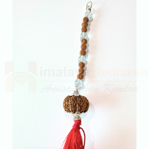 10 Mukhi Hanging For (Vastu Nivarak & Protection)