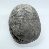 Divy Lakshmi Narayan Shaligram (243 gm)