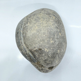 Divy Lakshmi Narayan Shaligram (143 gm)