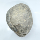 Divy Lakshmi Narayan Shaligram (255 gm)