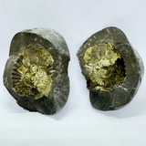 Divy Lakshmi Narayan Shaligram (448 gm)