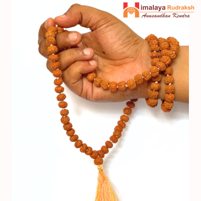 5 MUKHI Rudra jaap Mala