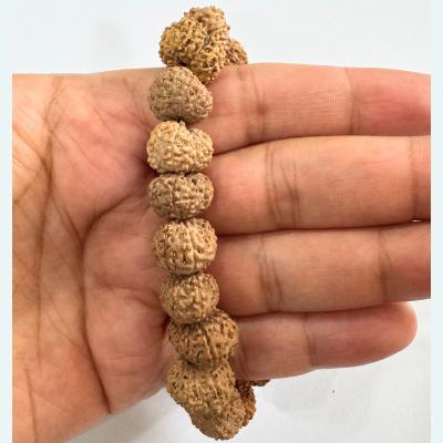 12 mukhi rudraksha bracelet