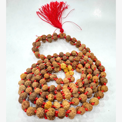 Gaurishankar Rudraksha Mala (Indonesian Origin- 108+1 beads)