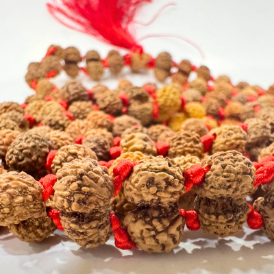 Gaurishankar Rudraksha Mala (Indonesian Origin- 108+1 beads)