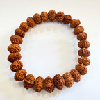 Ganesh Mukhi Rudraksha Bracelet - Himalaya Rudraksha Anusandhan Kendra