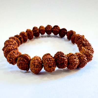 Ganesh Mukhi Rudraksha Bracelet - Himalaya Rudraksha Anusandhan Kendra