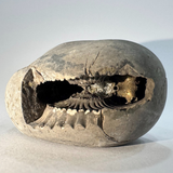 Lakshmi Narayan Shaligram - Himalaya Rudraksha Anusandhan Kendra