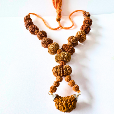 1-13 MUKHI RUDRAKSHA MALA
