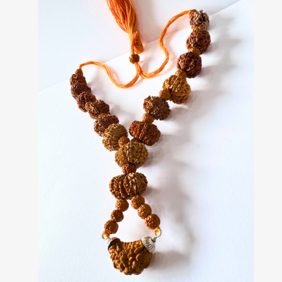13 mukhi nepali rudraksha