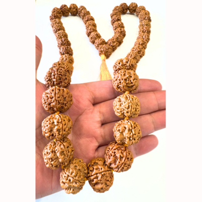 5 mukhi nepali mala