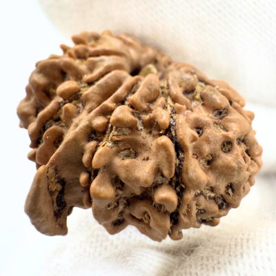 Antique 11 Mukhi Ganesh Rudraksha (Nepal Origin- 28.55 MM | 3.90 Gms)
