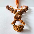 1-13 mukhi rudraksha