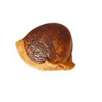 Machmani - 13.95 carat - Himalaya Rudraksha Anusandhan Kendra