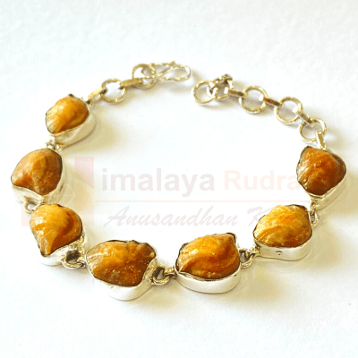 Machmani Silver Bracelet - Himalaya Rudraksha Anusandhan Kendra