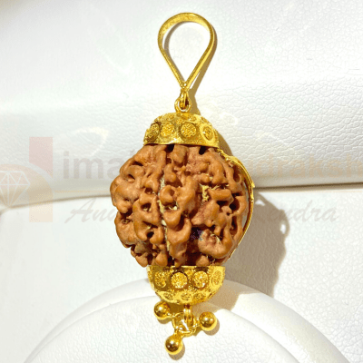 Natural 1 Mukhi Rudraksha In pure Gold (Nepal Origin - 5.20 Gms) - Himalaya Rudraksha Anusandhan Kendra