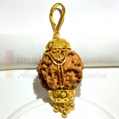 Natural 1 Mukhi Rudraksha In pure Gold (Nepal Origin - 5.20 Gms) - Himalaya Rudraksha Anusandhan Kendra