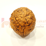 Natural 3 Mukhi Rudraksha (Indonesian Origin - World's Biggest Size) - Himalaya Rudraksha Anusandhan Kendra