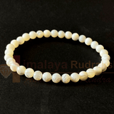 Natural Mother Pearl Bracelet - Himalaya Rudraksha Anusandhan Kendra