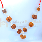 Navgrah Rudraksha Kawach - Himalaya Rudraksha Anusandhan Kendra