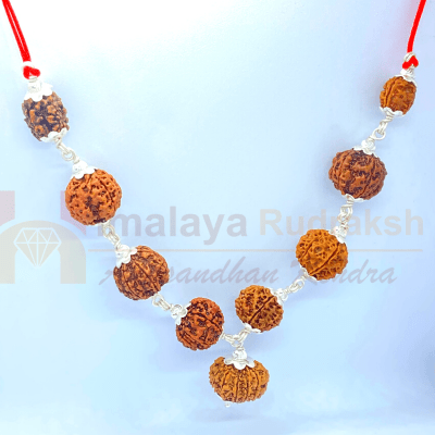 Navgrah Rudraksha Kawach - Himalaya Rudraksha Anusandhan Kendra