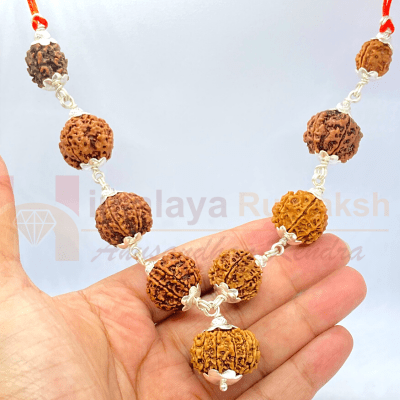 Navgrah Rudraksha Kawach - Himalaya Rudraksha Anusandhan Kendra