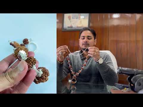 1 - 14 Mukhi Rudraksha Mala (Nepal Origin- Collector Beads)