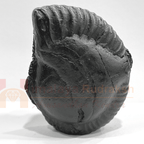 Ram Lalla Carved Shaligram - 378 Grams - Himalaya Rudraksha Anusandhan Kendra