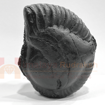 Ram Lalla Carved Shaligram - 378 Grams - Himalaya Rudraksha Anusandhan Kendra