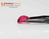 Ruby (Manik) - 15.90 cts - Himalaya Rudraksha Anusandhan Kendra