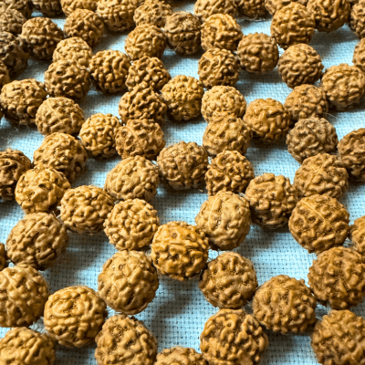 Rudraksha Mat - Himalaya Rudraksha Anusandhan Kendra