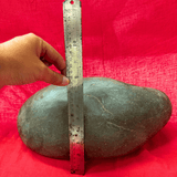 Shaligram Shila (12.173 kg) - Himalaya Rudraksha Anusandhan Kendra