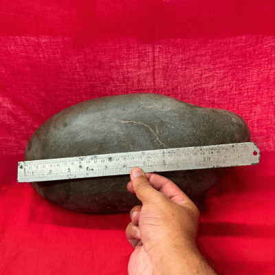 Shaligram Shila (12.173 kg) - Himalaya Rudraksha Anusandhan Kendra