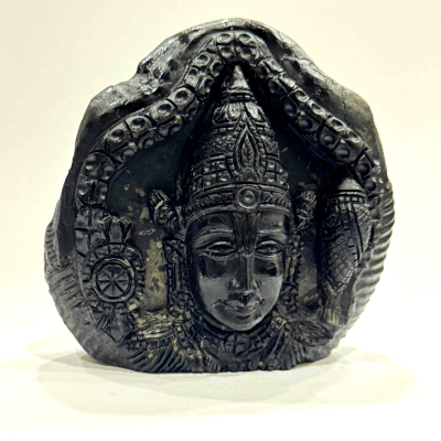 Shree Balaji Carved Shaligram - 503 Grams - Himalaya Rudraksha Anusandhan Kendra