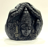 Shree Balaji Carved Shaligram - 503 Grams - Himalaya Rudraksha Anusandhan Kendra