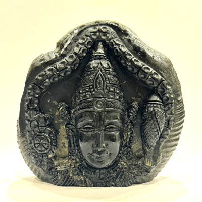 Shree Balaji Carved Shaligram - 503 Grams - Himalaya Rudraksha Anusandhan Kendra