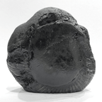 Shree Balaji Carved Shaligram - 503 Grams - Himalaya Rudraksha Anusandhan Kendra