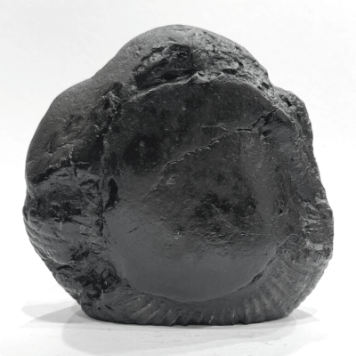 Shree Balaji Carved Shaligram - 503 Grams - Himalaya Rudraksha Anusandhan Kendra